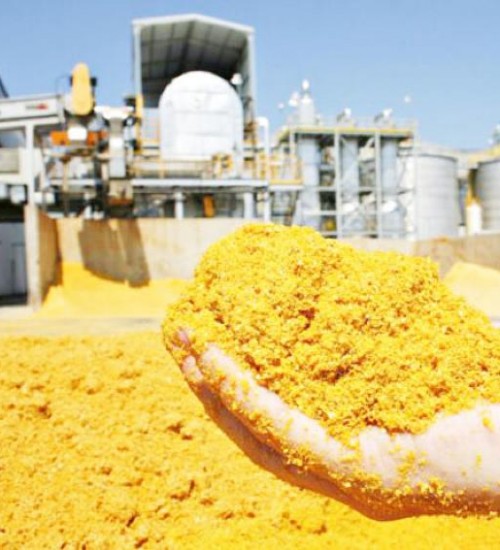BNDES aprova R$ 1 bilhão para usina de etanol de milho em Tapurah