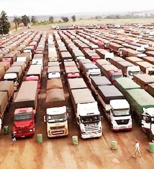 Escoamento da soja mantém o frete em alta em Mato Grosso