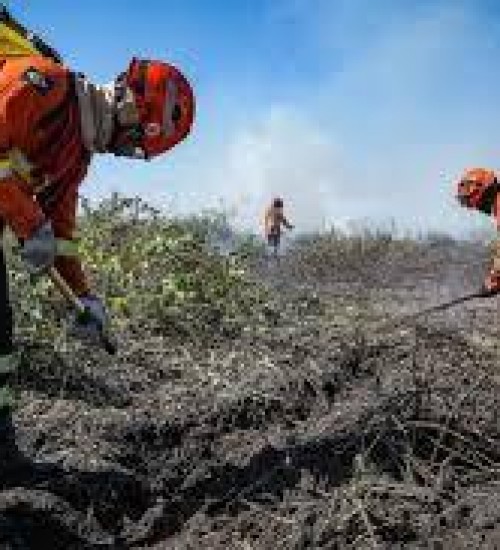 Decreto estabelece período proibitivo de uso do fogo em MT