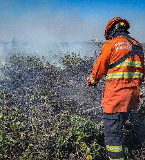 Sema prioriza queima controlada para evitar incêndios de grande porte