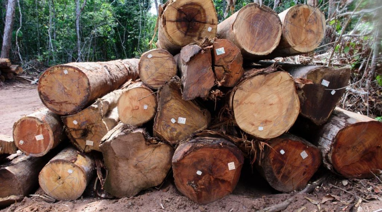 Aripuanã, Colniza e Juína têm restrição florestal prorrogada até maio