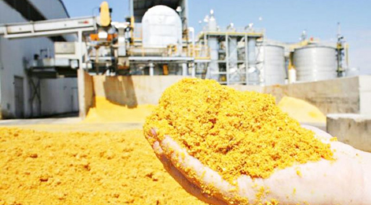 BNDES aprova R$ 1 bilhão para usina de etanol de milho em Tapurah