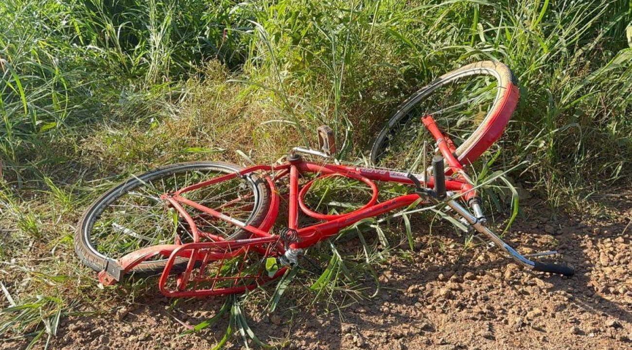 Idoso morre após ser atropelado por caminhão na MT-208 em Carlinda