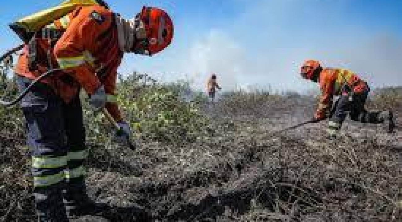 Decreto estabelece período proibitivo de uso do fogo em MT