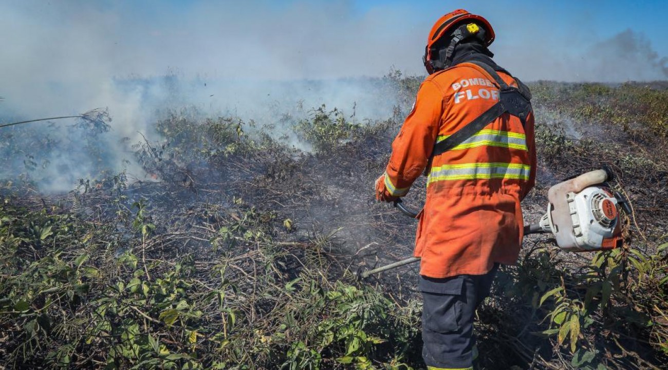 Sema prioriza queima controlada para evitar incêndios de grande porte