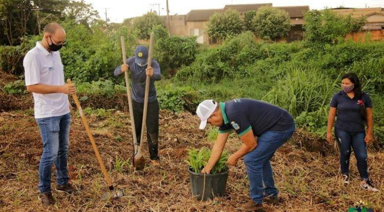 Prefeitura de Colíder realiza homenagem às vítimas de Covid com plantio de árvores