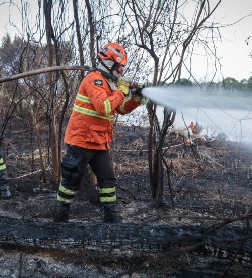 Ministério do Meio Ambiente Declara Emergência Ambiental em Mato Grosso para Combater Incêndios Florestais